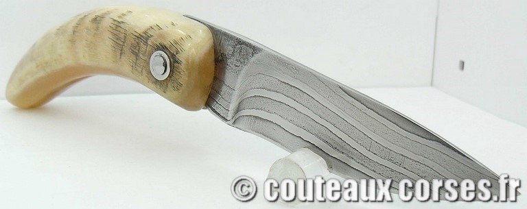 curnicciolu-damas-et-corne-de-belier-D1002-padovani-128