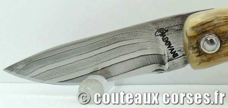 couteau corse curnicciolu damas et corne de belier curnicciolu-damas-et-corne-de-belier-D1002-padovani-18