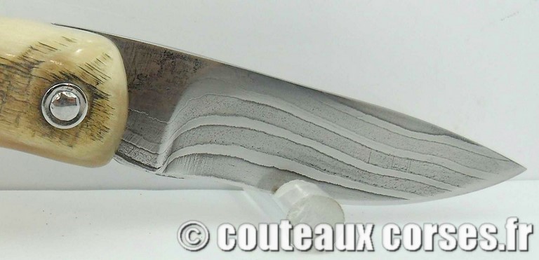 couteau corse curnicciolu damas et corne de belier curnicciolu-damas-et-corne-de-belier-D1002-padovani-11