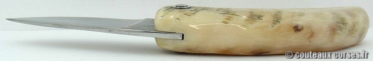 curnicciolu-damas-et-corne-de-belier-D1002-padovani-14