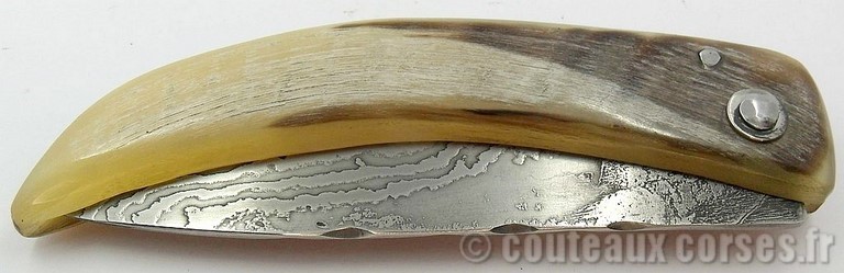 couteaux-corses-damas-padovani-b-2