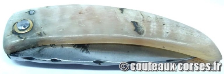 couteau corse curnicciolu Padovani u3 couteau-corse-curnicciolu-padovani-NDDLL541-91