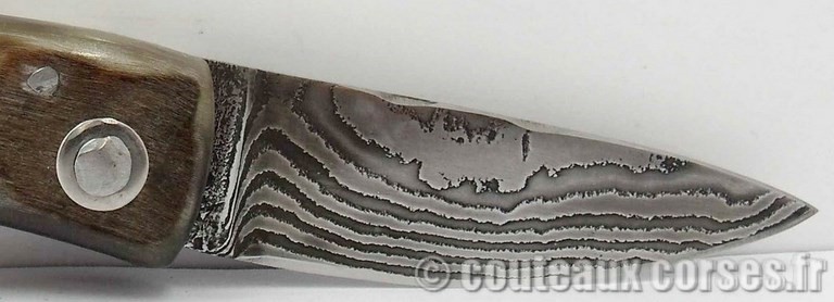 couteau-corse-damas-padovani-4