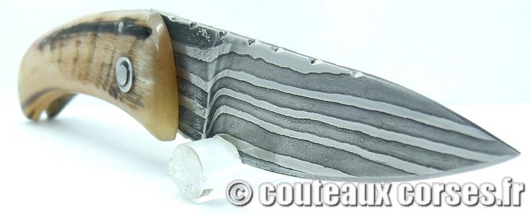 Curnicciolu corne de belier et damas king size M Padovani couteau-corse-padovani-damas-a1-10.jpg