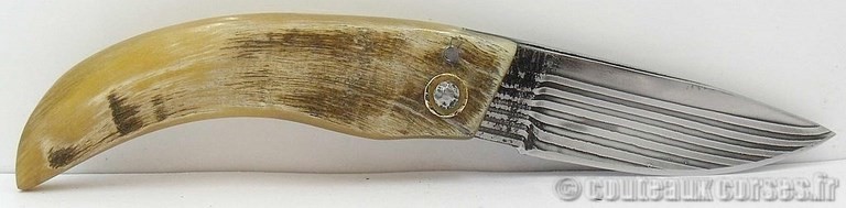 curnicciolu-damas-et-corne-de-bouc-M-Padovani-1-9-1