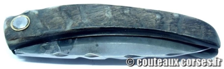 couteau corse curnicciolu Padovani u3 couteau-corse-curnicciolu-padovani-XXCEDS874-91