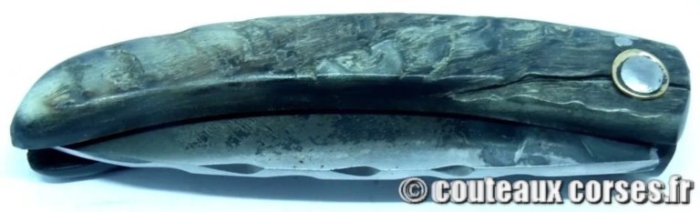 couteau corse curnicciolu Padovani u3 couteau-corse-curnicciolu-padovani-XXCEDS874-8