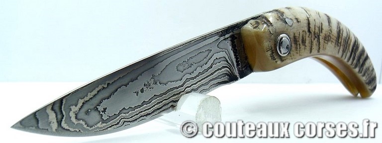 curnicciolu-damas-et-corne-de-belier-M-Padovani-115T-9