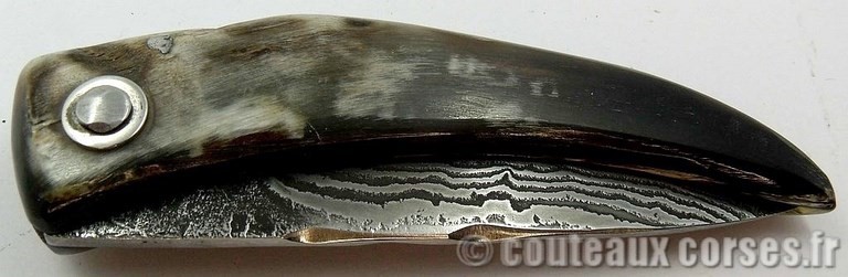 couteau-corse-damas-padovani-1