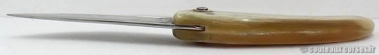 Couteau Corse artisanal bois amarante et damas couteau-corse-artisanal-damas-m-padovani-1-4