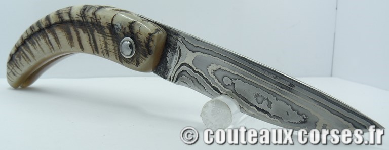curnicciolu-damas-et-corne-de-belier-M-Padovani-115T-10