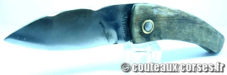 couteau corse curnicciolu Padovani u1 couteau-corse-curnicciolu-padovani-LBVRR799-9
