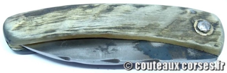 couteau corse curnicciolu Padovani u3 couteau-corse-curnicciolu-padovani-LBVRR799-8