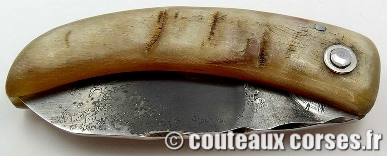 couteau-corse-curnicciolu-ab-cb1-padovani-2
