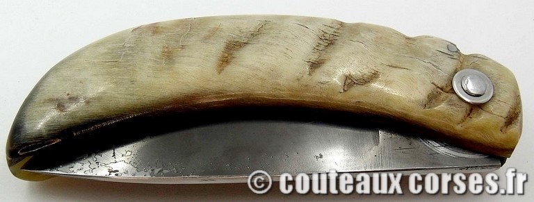 couteau-corse-curnicciolu-ab-cb10-padovani-2