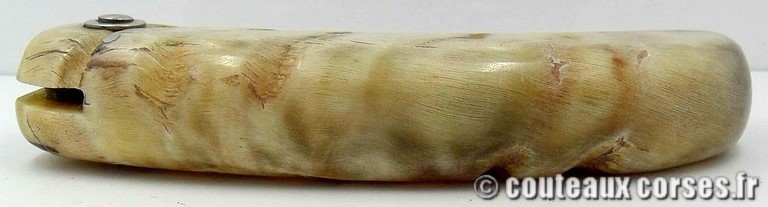 couteau-corse-curnicciolu-ab-cb10-padovani-4