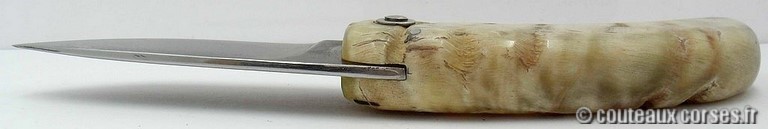 couteau-corse-curnicciolu-ab-cb10-padovani-7
