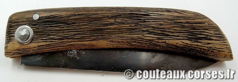 Cultella corsa acier carbone et noyer-padovani-1