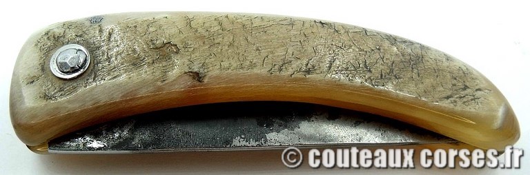 couteau-corse-curnicciolu-aa1-padovani-151
