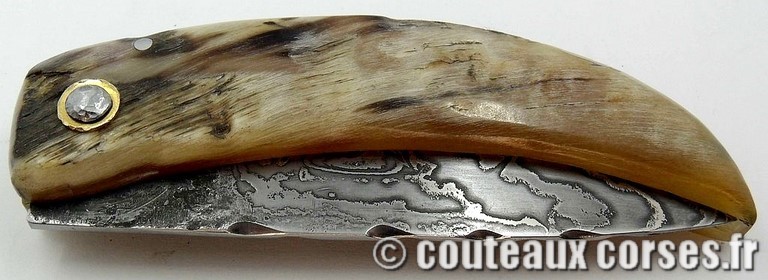 Curnicciolu corne de belier et damas M Padovani curnicciolu-damas-et-corne-de-belier-m3-padovani-1