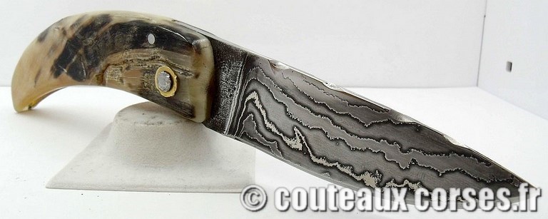 curnicciolu-damas-et-corne-de-belier-padovani-1-1-1-8