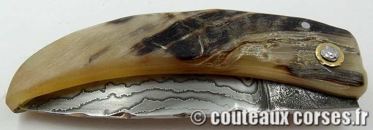 curnicciolu-damas-et-corne-de-belier-padovani-1-2