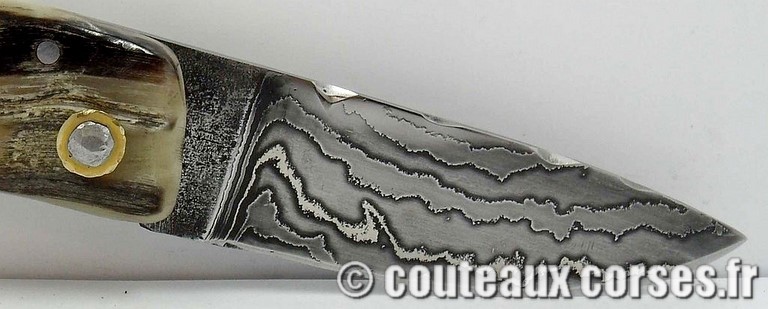 couteau corse curnicciolu damas et corne de bouc curnicciolu-damas-et-corne-de-belier-padovani-1-1-1-7