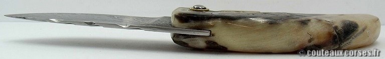 curnicciolu-damas-et-corne-de-belier-padovani-1-4