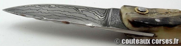 curnicciolu-damas-et-corne-de-belier-padovani-1-89