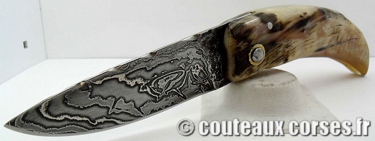 curnicciolu-damas-et-corne-de-belier-padovani-15-3