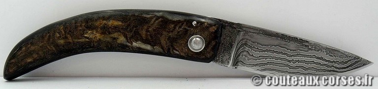 couteau corse artisanal bois d amarante et damas couteau-corse-artisanal-damas-corne-bouc-padovani-1-7