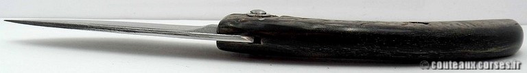 Couteau Corse artisanal bois amarante et damas couteau-corse-artisanal-damas-corne-bouc-padovani-1-4