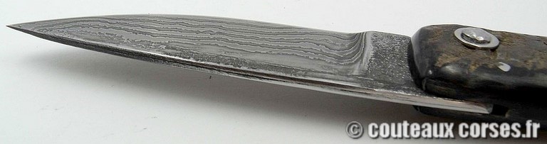 Couteau Corse artisanal bois amarante et damas couteau-corse-artisanal-damas-corne-bouc-padovani-1-9-3