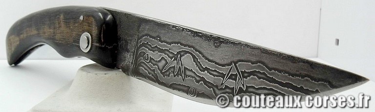 couteau-corse-artisanal-damas-corne-bouc-padovani-1-9-2