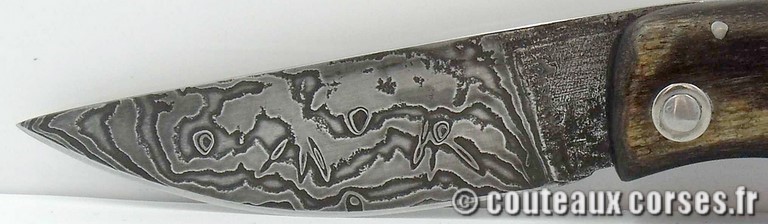 couteau corse artisanal bois d amarante et damas couteau-corse-artisanal-damas-corne-bouc-padovani-1-6