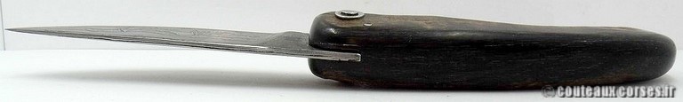 Couteau Corse artisanal bois amarante et damas couteau-corse-artisanal-damas-corne-bouc-padovani-1-4