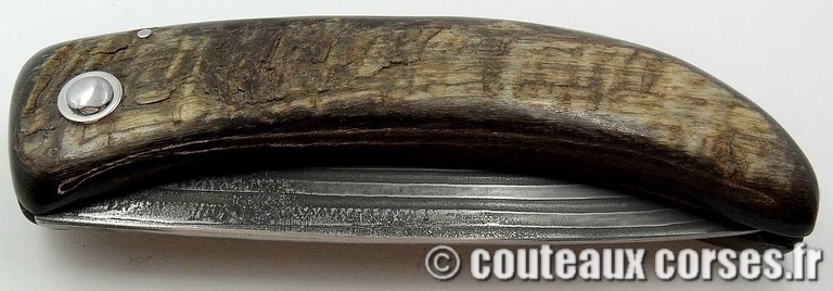 curniccioulu-carbone-et-corne-chevre2-manu-padovani-1