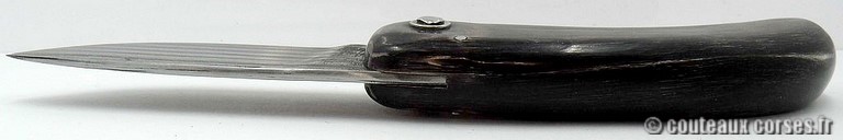 curniccioulu-carbone-et-corne-chevre2-manu-padovani-7