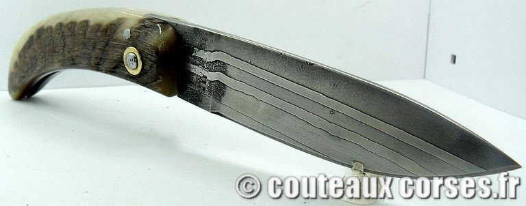 curnicciolu-damas-et-corne-de-belier-padovani-ksb9-8