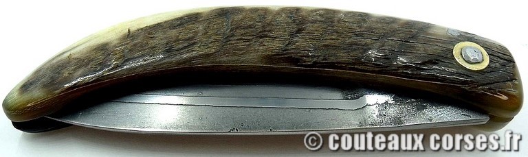 curnicciolu-damas-et-corne-de-belier-padovani-ksb9-2