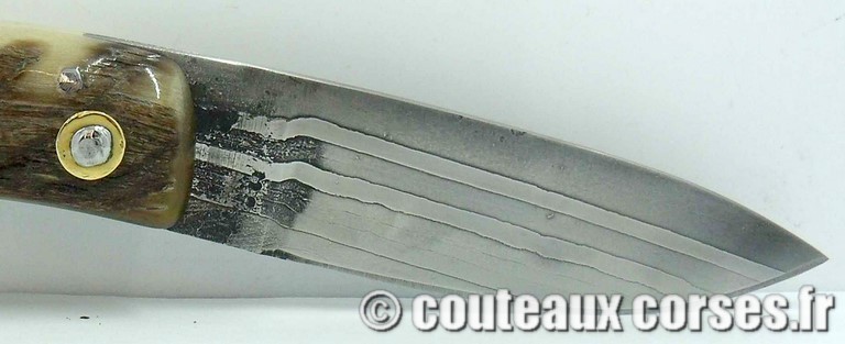 curnicciolu-damas-et-corne-de-belier-padovani-ksb9-8