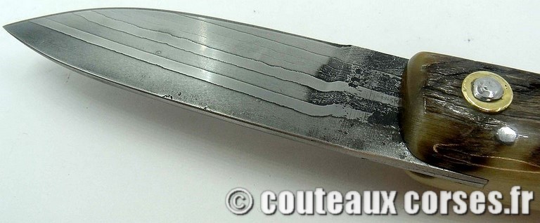 curnicciolu-damas-et-corne-de-belier-padovani-ksb9-89