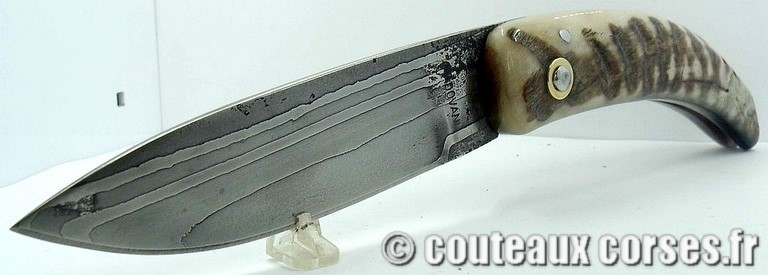 curnicciolu-damas-et-corne-de-belier-padovani-ksb9-3