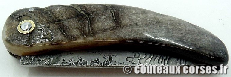 Curnicciolu corne de belier et damas M Padovani curnicciolu-damas-et-corne-de-belier-padovani-9854