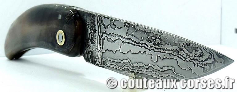 curnicciolu-damas-et-corne-de-belier-padovani-9854-8