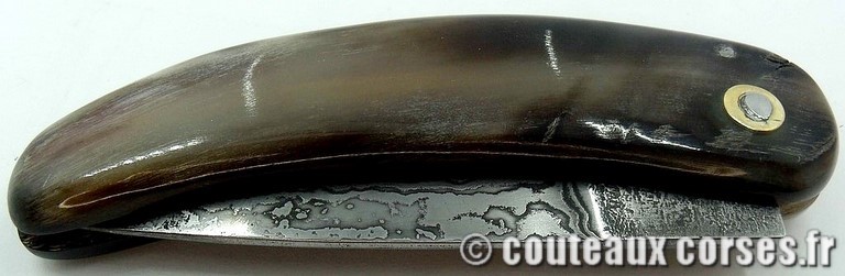 curnicciolu-damas-et-corne-de-belier-padovani-9854-2