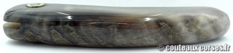 curnicciolu-damas-et-corne-de-belier-padovani-9854-3
