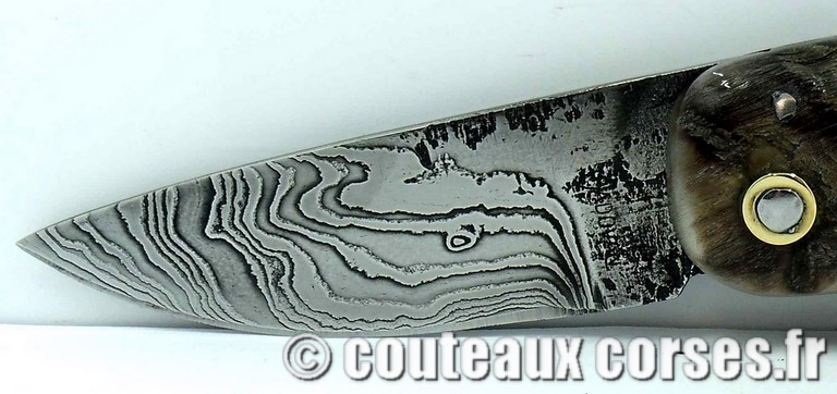 couteau corse curnicciolu damas et corne de belier curnicciolu-damas-et-corne-de-belier-padovani-9854-8