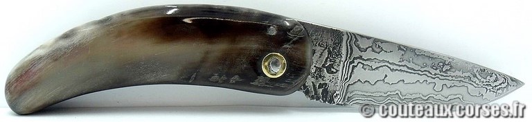 curnicciolu-damas-et-corne-de-belier-padovani-9854-1