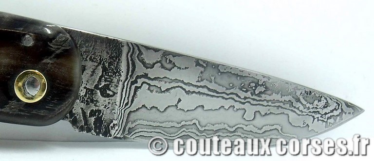curnicciolu-damas-et-corne-de-belier-padovani-9854-8